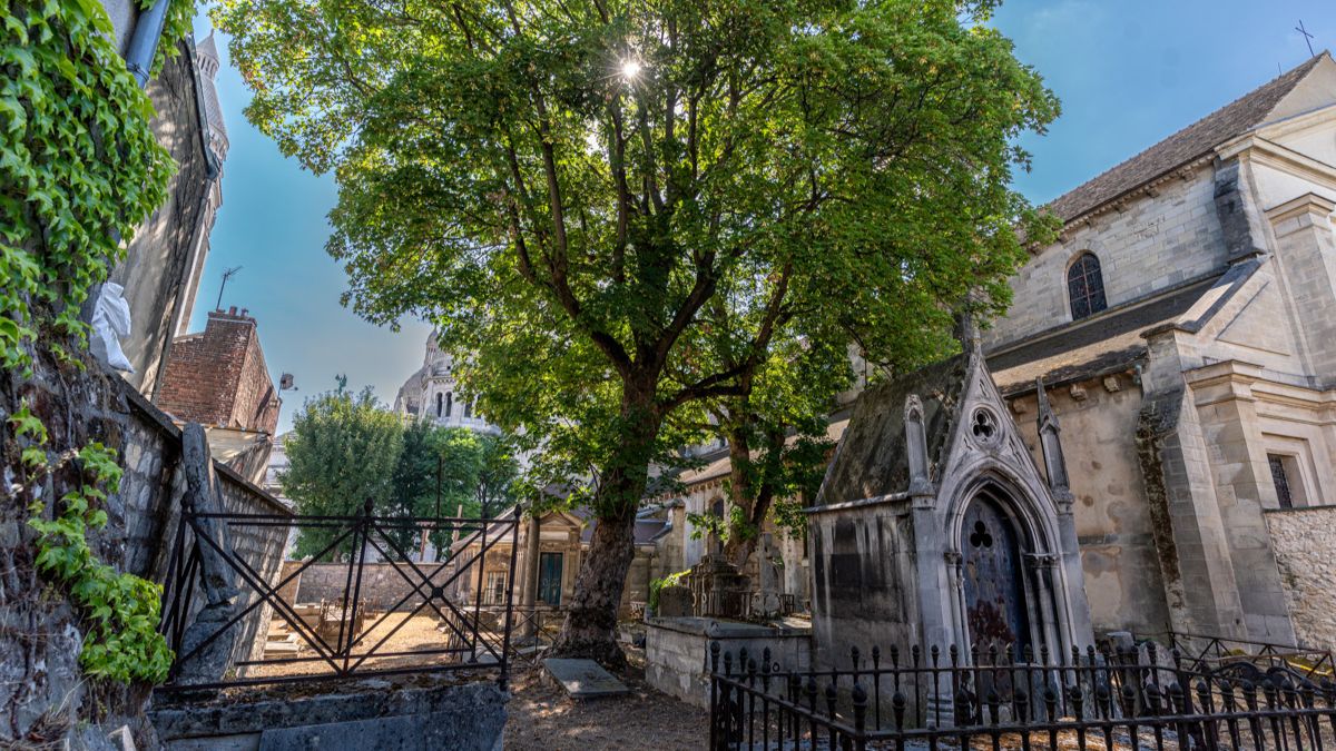 crédit photo Sonia Yassa Ville de Paris - Cimetière de Calvaire crédit photo Sonia Yassa Ville de Paris - Cimetière de Calvaire