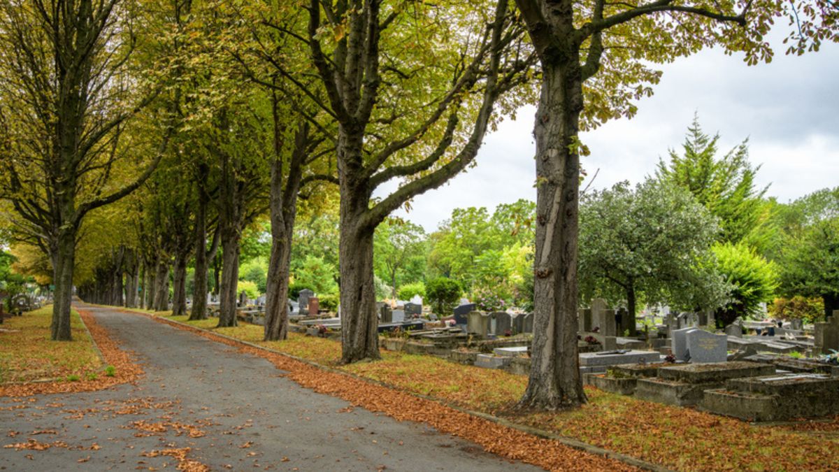 Le Cimetière parisien de Saint-Ouen